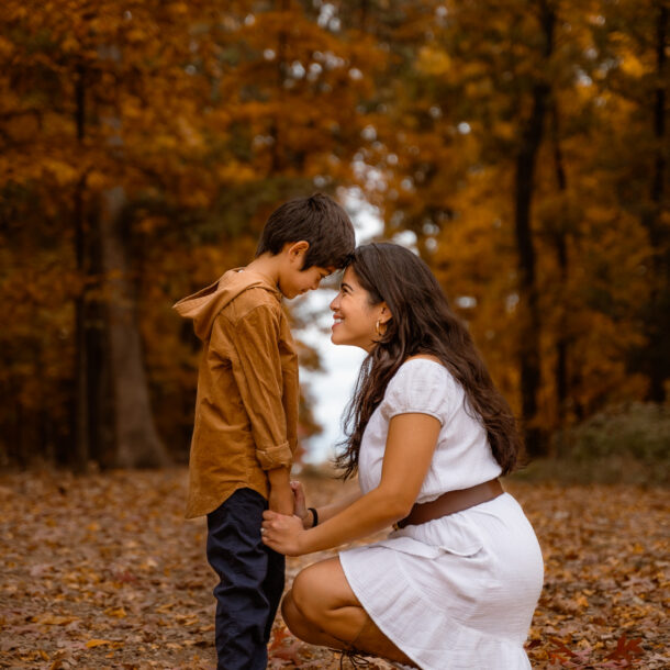 Fall photograph at Hal and Berni Hanson Regional Park in Brambleton, Virginia.