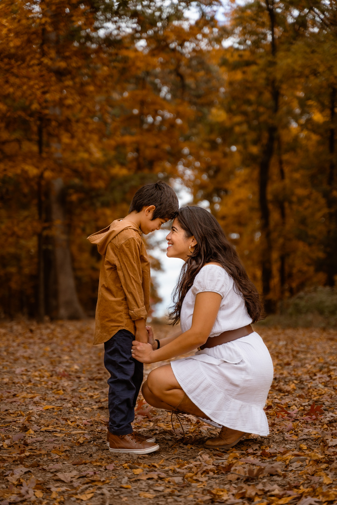 Fall photograph at Hal and Berni Hanson Regional Park in Brambleton, Virginia.