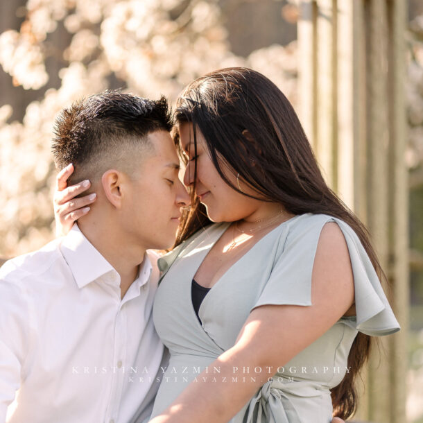 Couples sunrise engagement session at Brookside Gardens, Wheaton, Maryland.