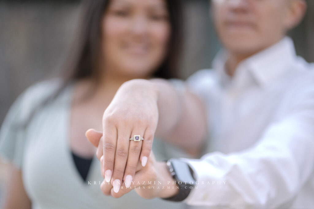 Couples sunrise engagement session at Brookside Gardens, Wheaton, Maryland.