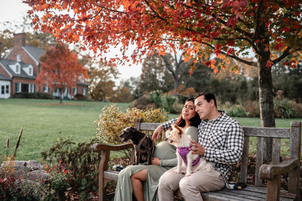 Maternity portrait photography session at Green Spring Gardens, Annandale, Virginia.