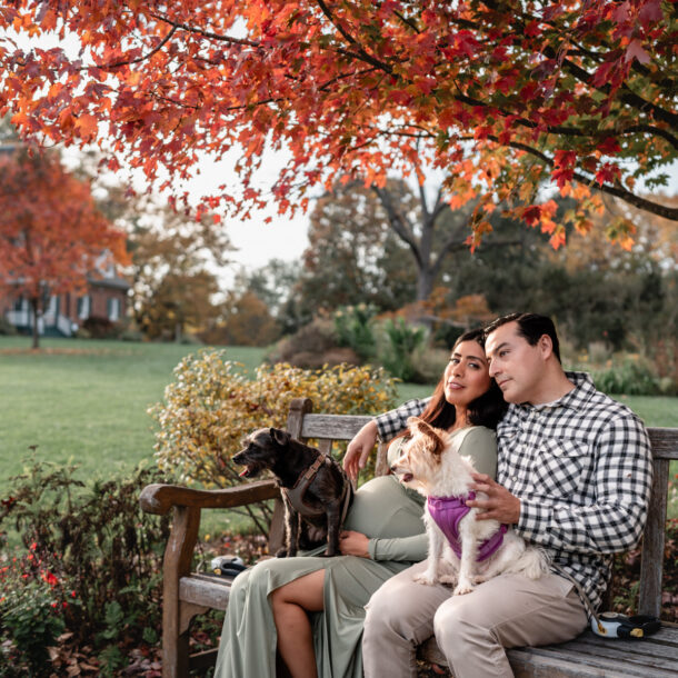 Maternity portrait photography session at Green Spring Gardens, Annandale, Virginia.